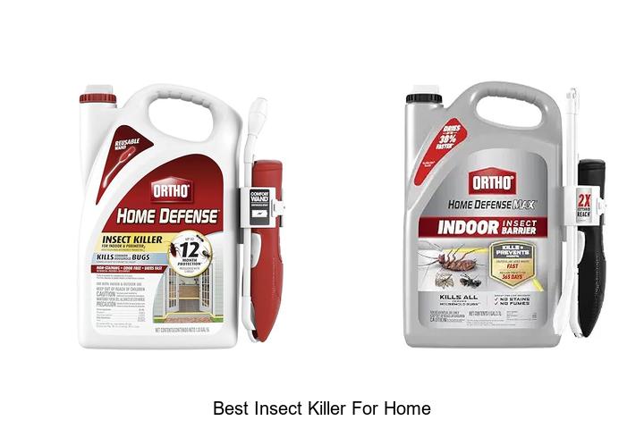 best insect killer for home