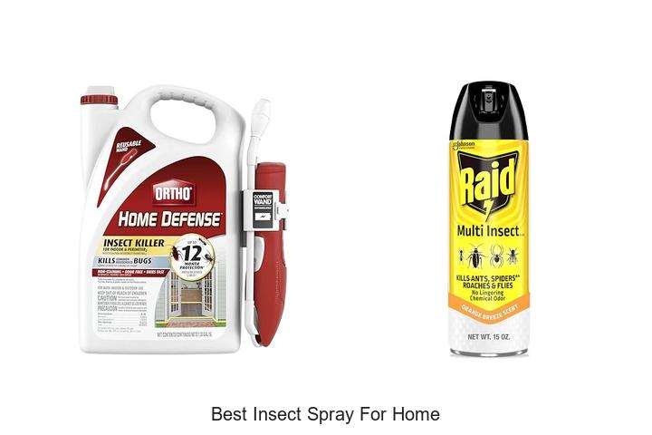 best insect spray for home