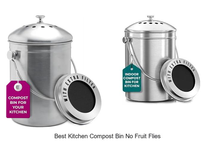 best kitchen compost bin no fruit flies