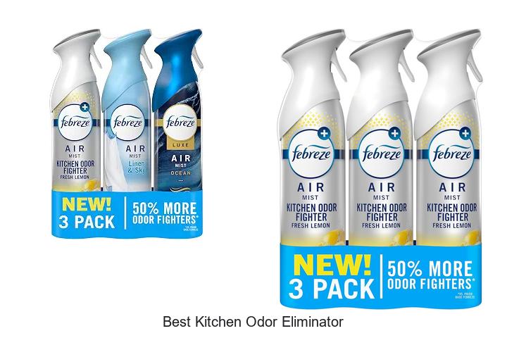 best kitchen odor eliminator