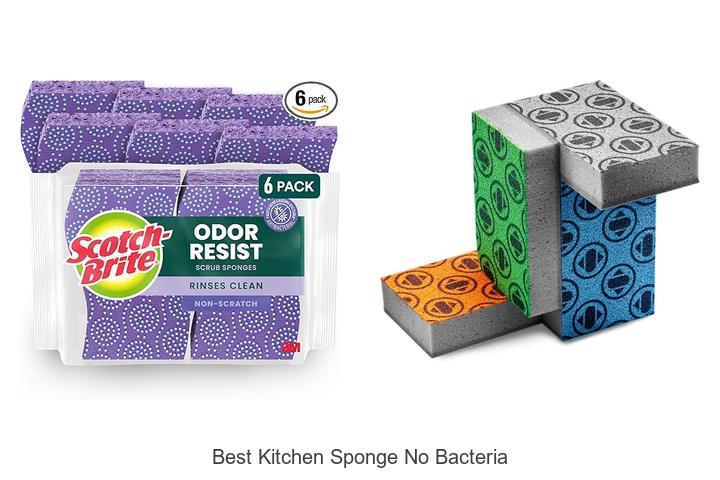 best kitchen sponge no bacteria