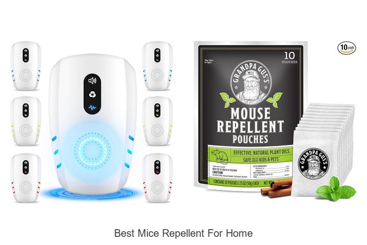best mice repellent for home