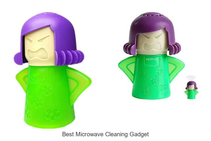 best microwave cleaning gadget