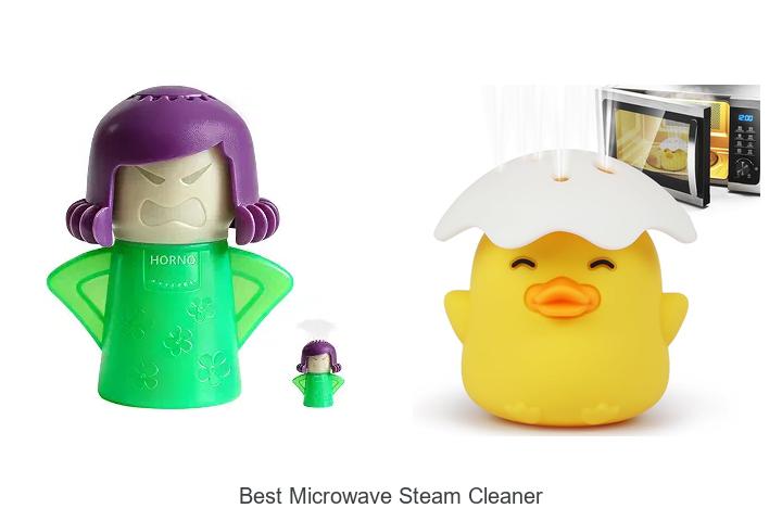 best microwave steam cleaner