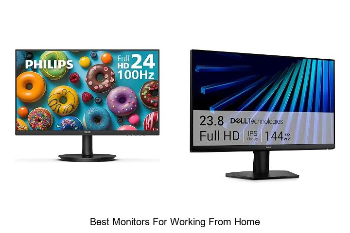 best monitors for working from home
