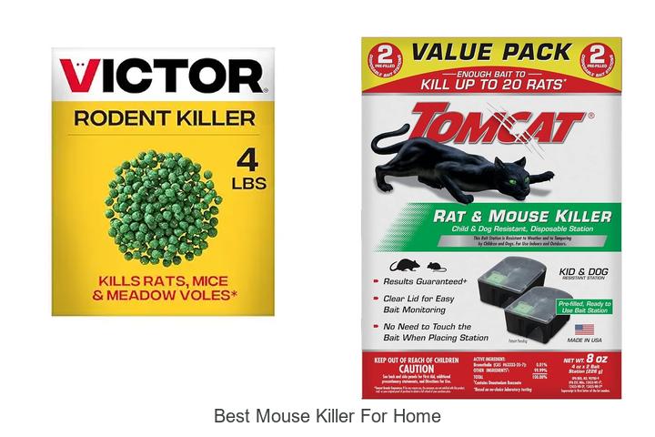 best mouse killer for home