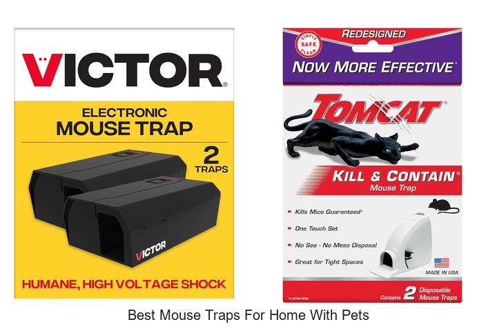 best mouse traps for home with pets
