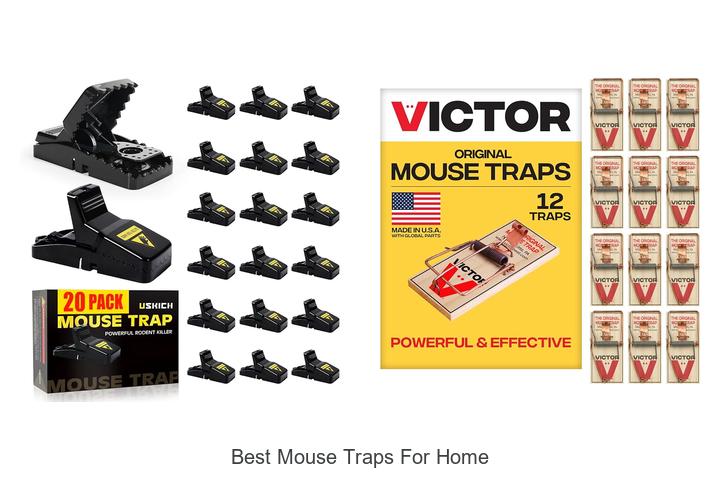 best mouse traps for home