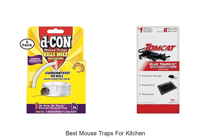 best mouse traps for kitchen