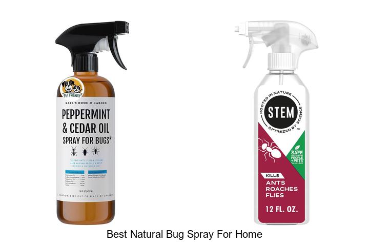 best natural bug spray for home