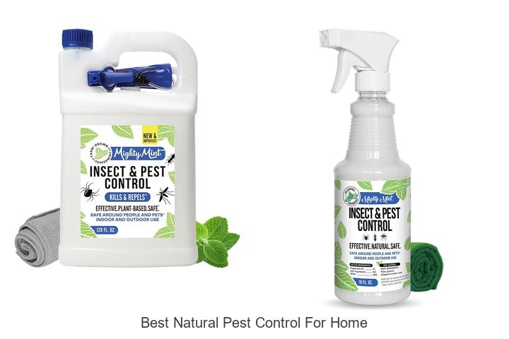 best natural pest control for home