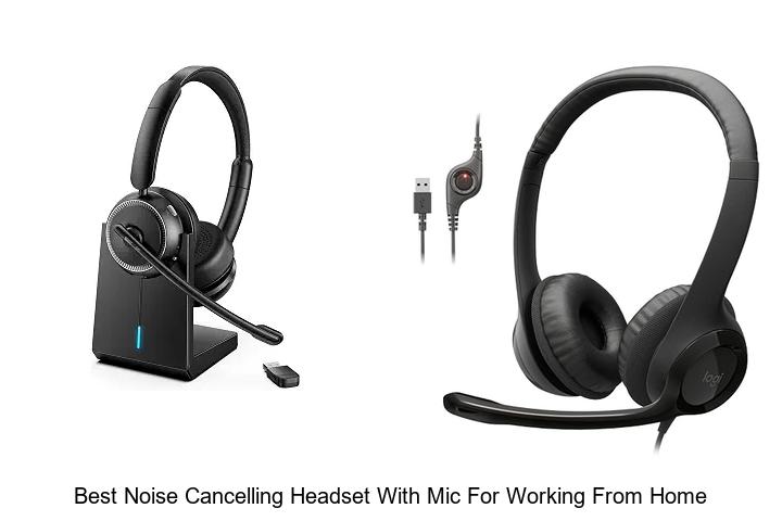 best noise cancelling headset with mic for working from home