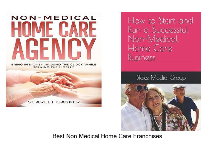 best non medical home care franchises