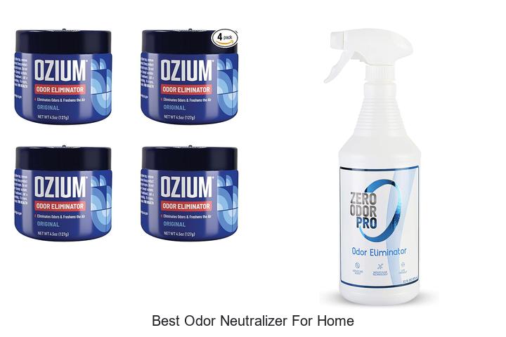 best odor neutralizer for home