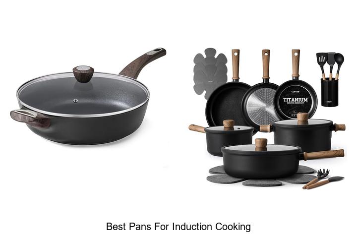 best pans for induction cooking