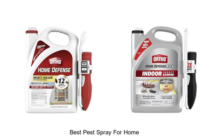 best pest spray for home
