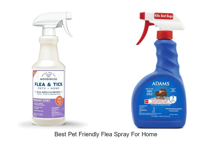 best pet friendly flea spray for home