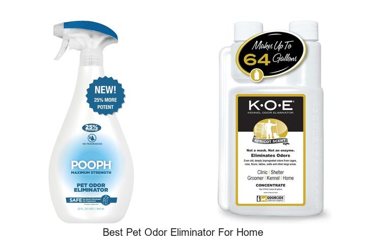 best pet odor eliminator for home