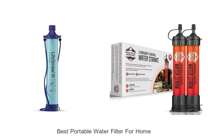 best portable water filter for home