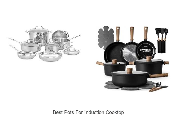 best pots for induction cooktop