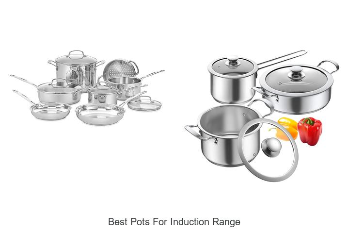 best pots for induction range