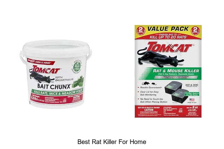 best rat killer for home