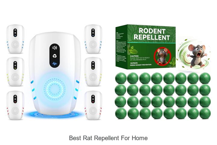 best rat repellent for home