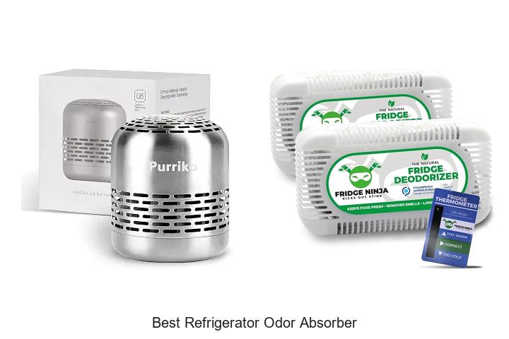 best refrigerator odor absorber