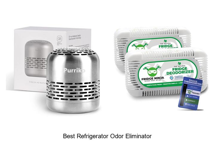 Best Refrigerator Odor Eliminator That Actually Works!