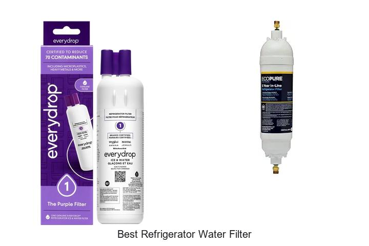 Best Refrigerator Water Filter That Will Change Your Life!