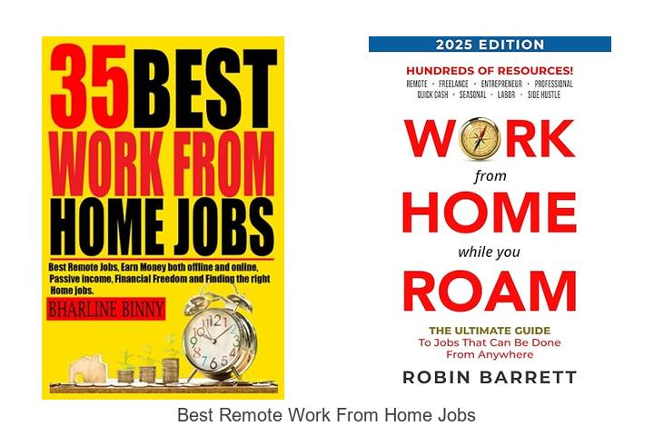 best remote work from home jobs