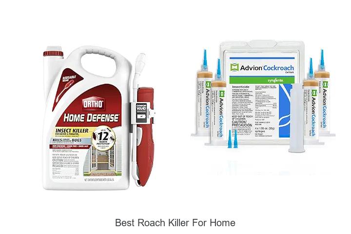best roach killer for home