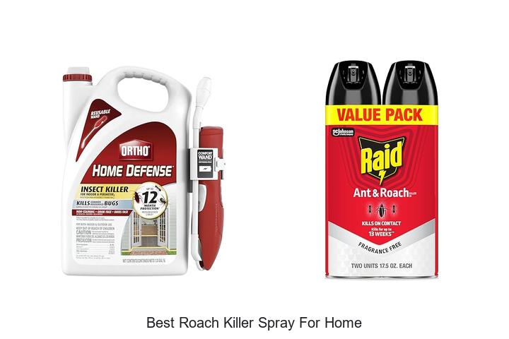 best roach killer spray for home