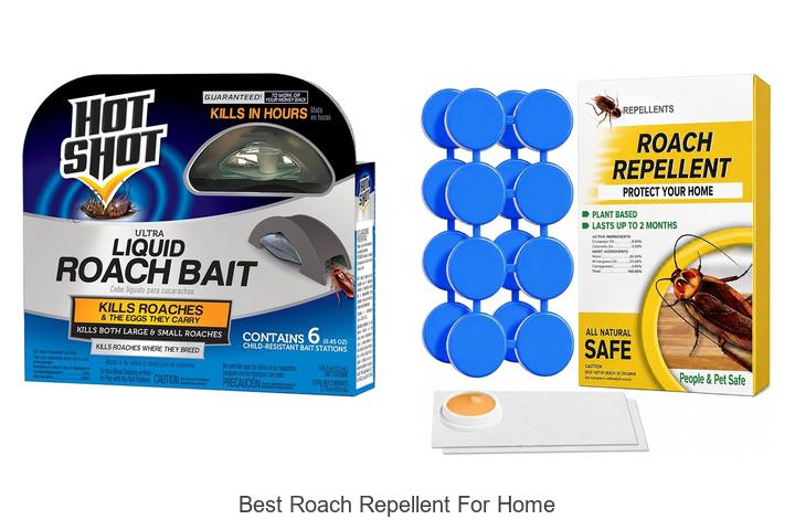 best roach repellent for home