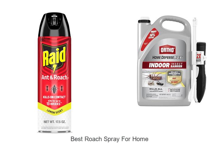 best roach spray for home