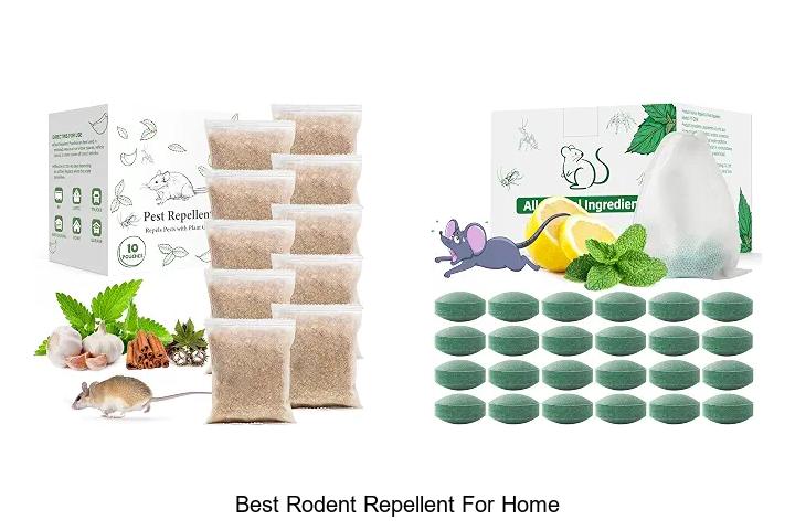 best rodent repellent for home