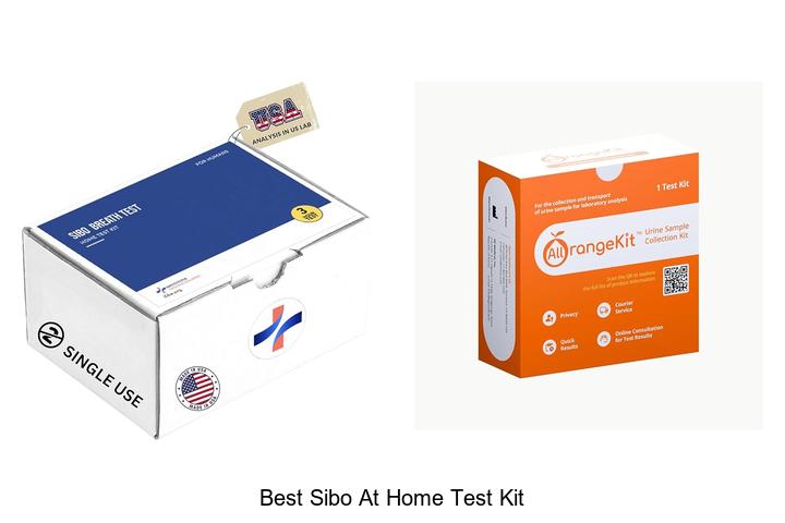best sibo at home test kit