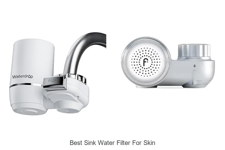 best sink water filter for skin