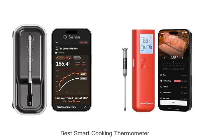 best smart cooking thermometer