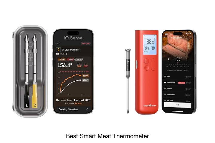 best smart meat thermometer
