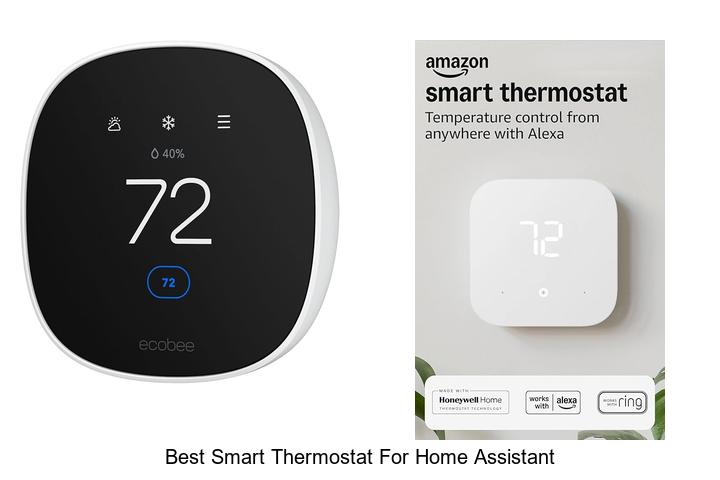 best smart thermostat for home assistant