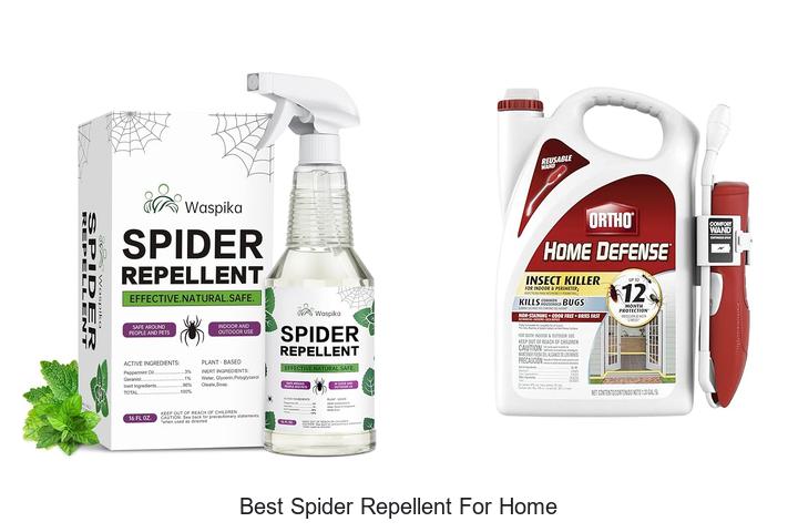 best spider repellent for home