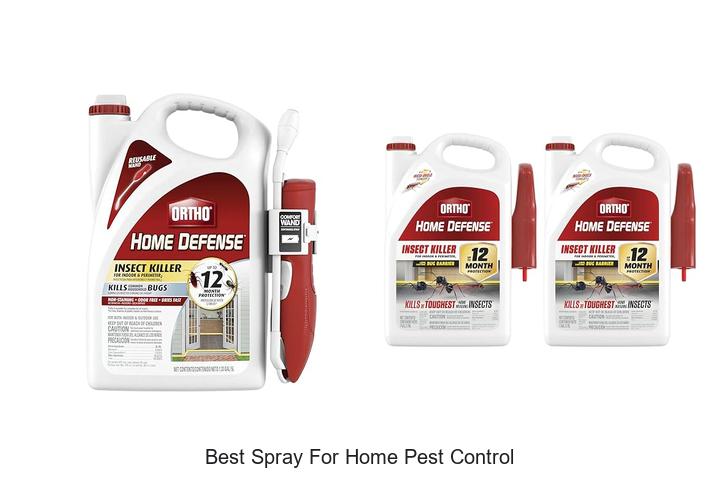 best spray for home pest control