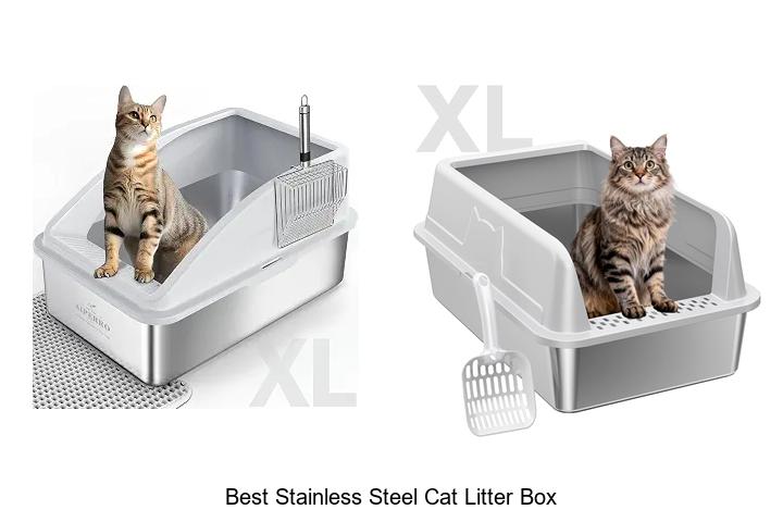 Best Stainless Steel Cat Litter Box That Cats Love Now