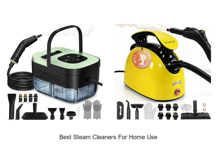 best steam cleaners for home use