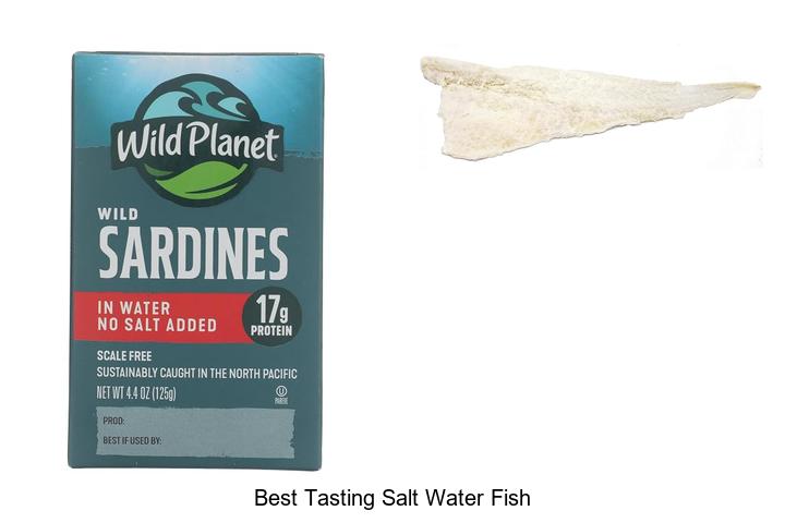 Best Tasting Salt Water Fish You Can’t Stop Eating Today