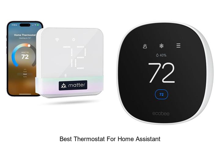 best thermostat for home assistant