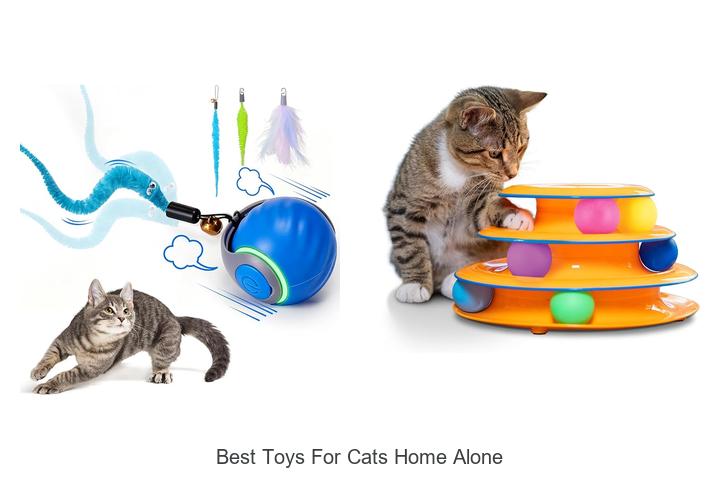 best toys for cats home alone