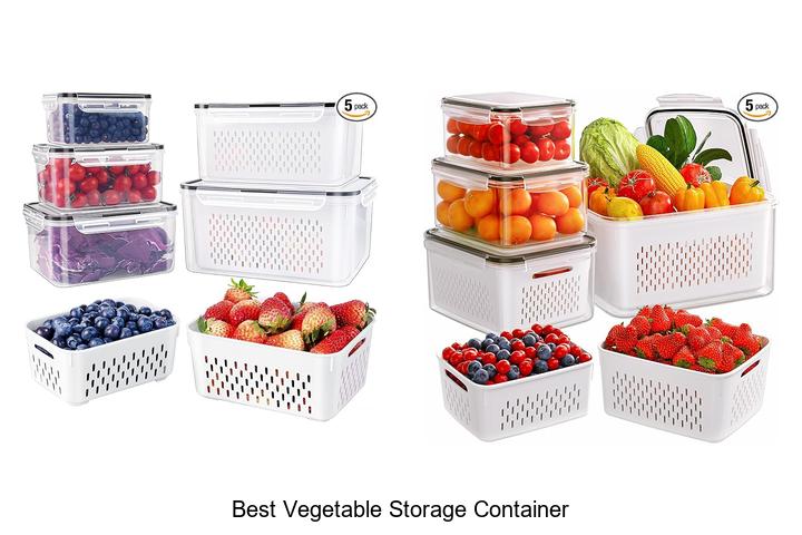 best vegetable storage container