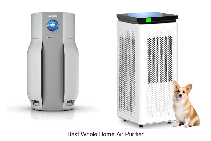best whole home air purifier